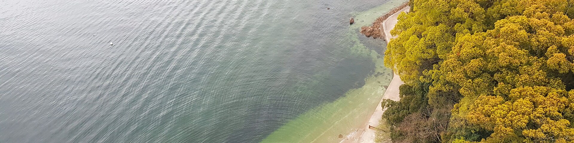 A coastal landscape with a clear water body, sandy beach, and dense green foliage.