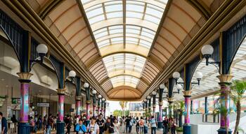 Maihama featuring street scenes