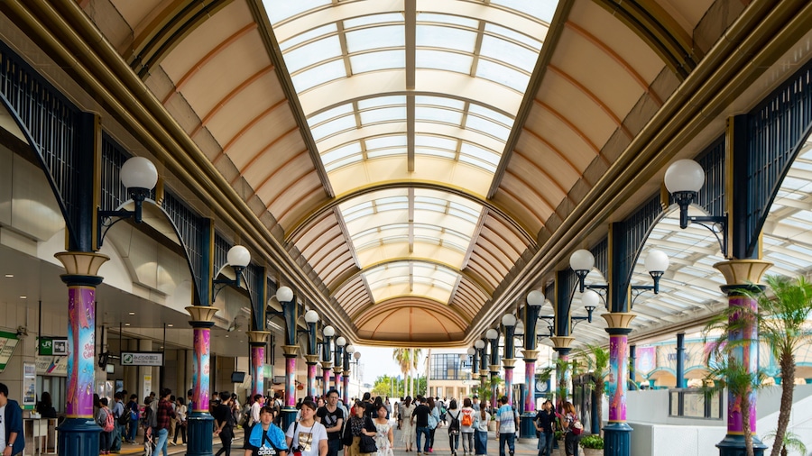 Maihama featuring street scenes