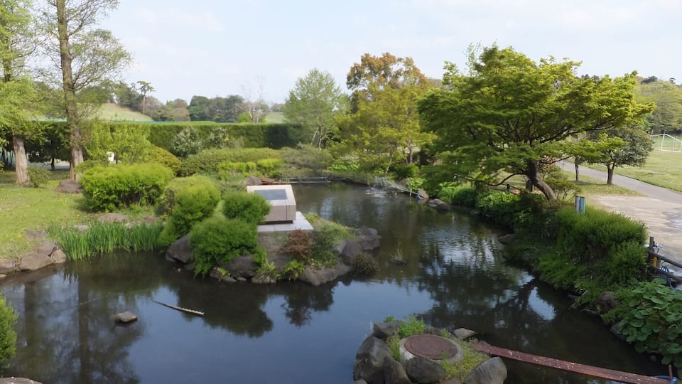 大賀ハス発祥の地(千葉市花見川区)。東京大学検見川総合運動場に隣接する。