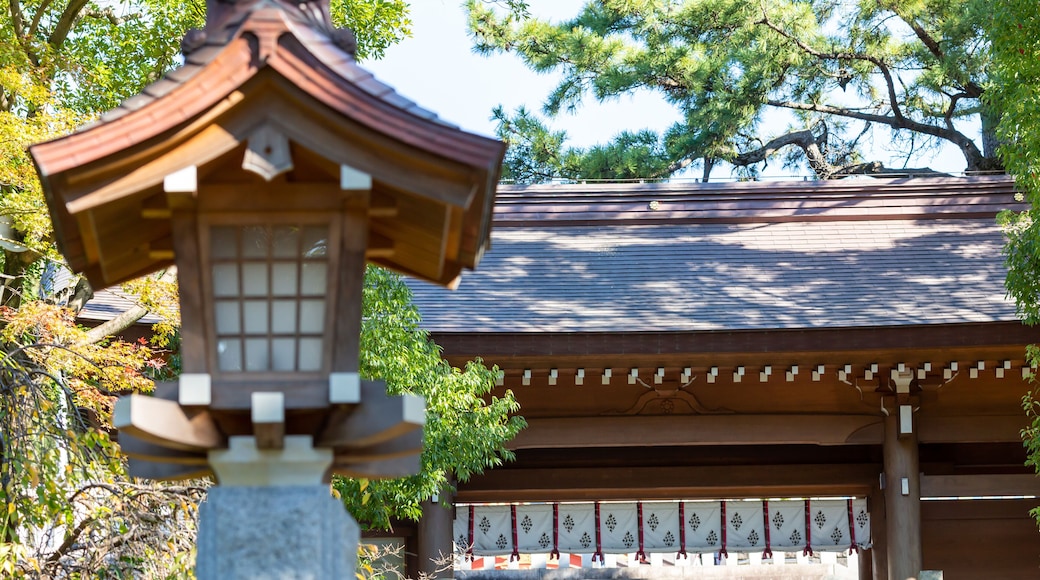 scenery fo a traditional wooden lantern and a gate of inage sengen shinto shrine surrounded by pine trees