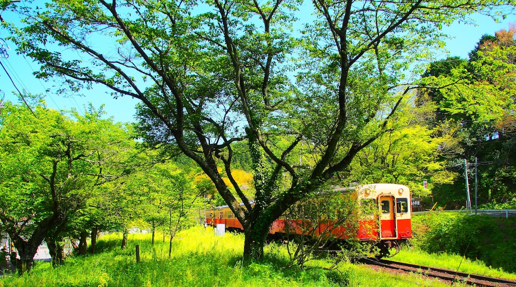 Train coming to the station of Kominato Railway Chiba Japan