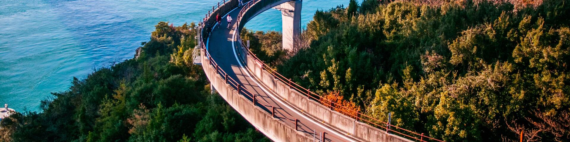 A curved bridge over a body of water with mountains in the background.