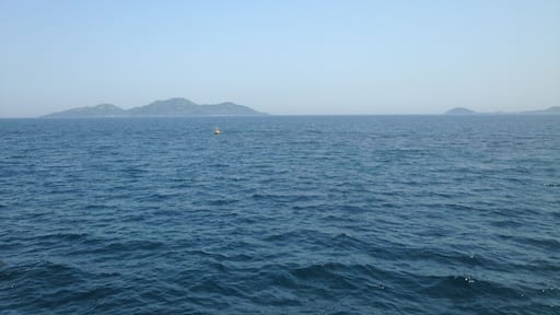 ็ญๅๅคงๅณถ่กใใฎใใใงใชใผใใใใพใใใๆใๅฐๅณถ(ๅทฆ)ใจ้ใๅฒฌ(ๅณ)