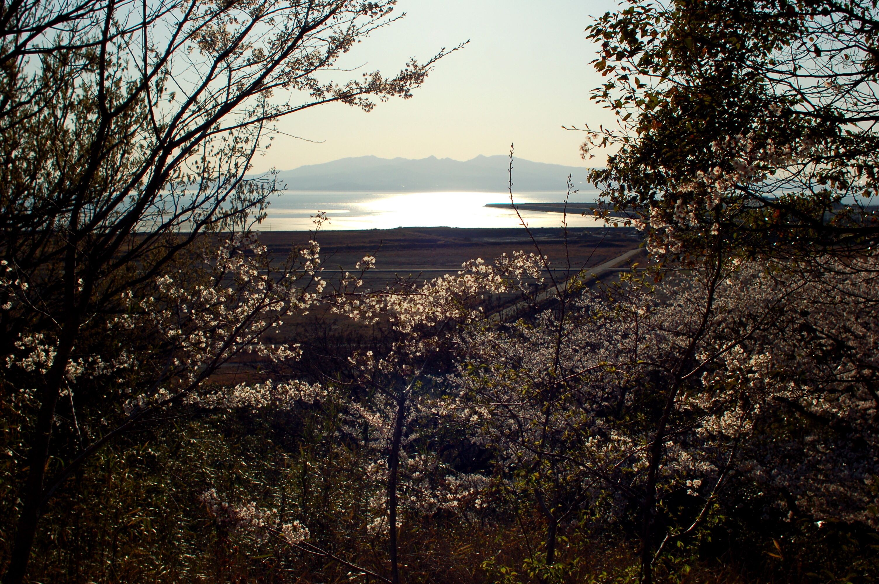 四山神社からの眺望