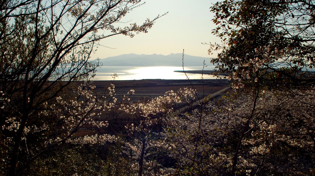 四山神社からの眺望