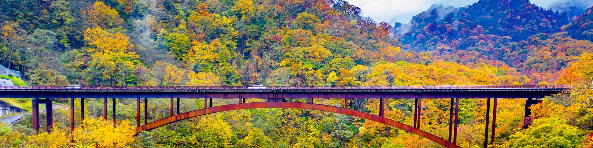 A bridge with a distinctive arch over a forested area with autumn foliage.