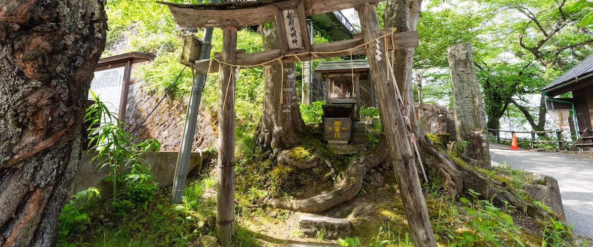 A traditional Japanese torii gate surrounded by lush greenery and a stone pathway.