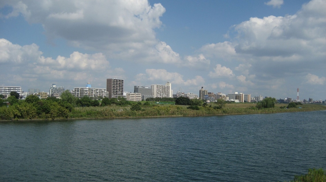 1 Chome Asahichō, Kawasaki-ku, Kawasaki-shi, Kanagawa-ken 210-0808, Japan