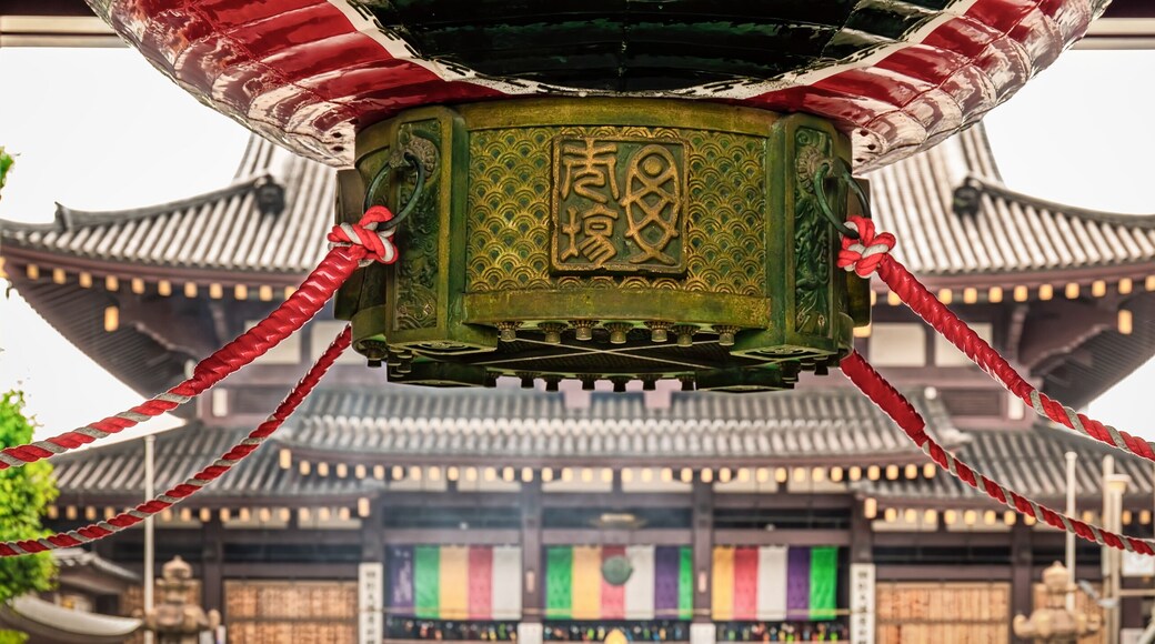 โฮริกาวาโจ