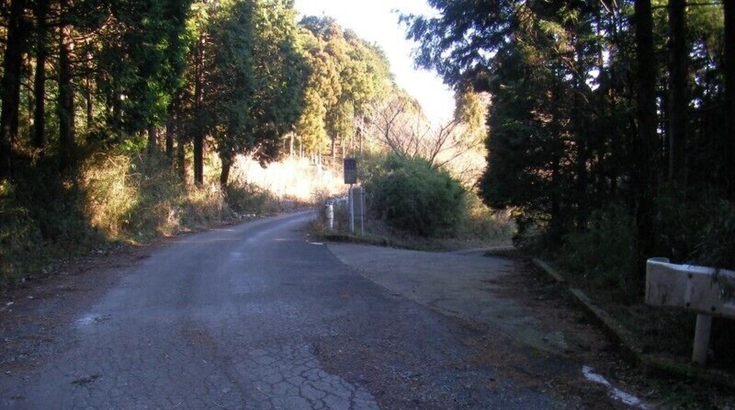 白銀林道(対:大畑林道)