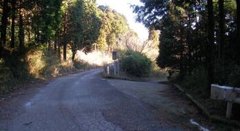 白銀林道(対:大畑林道)