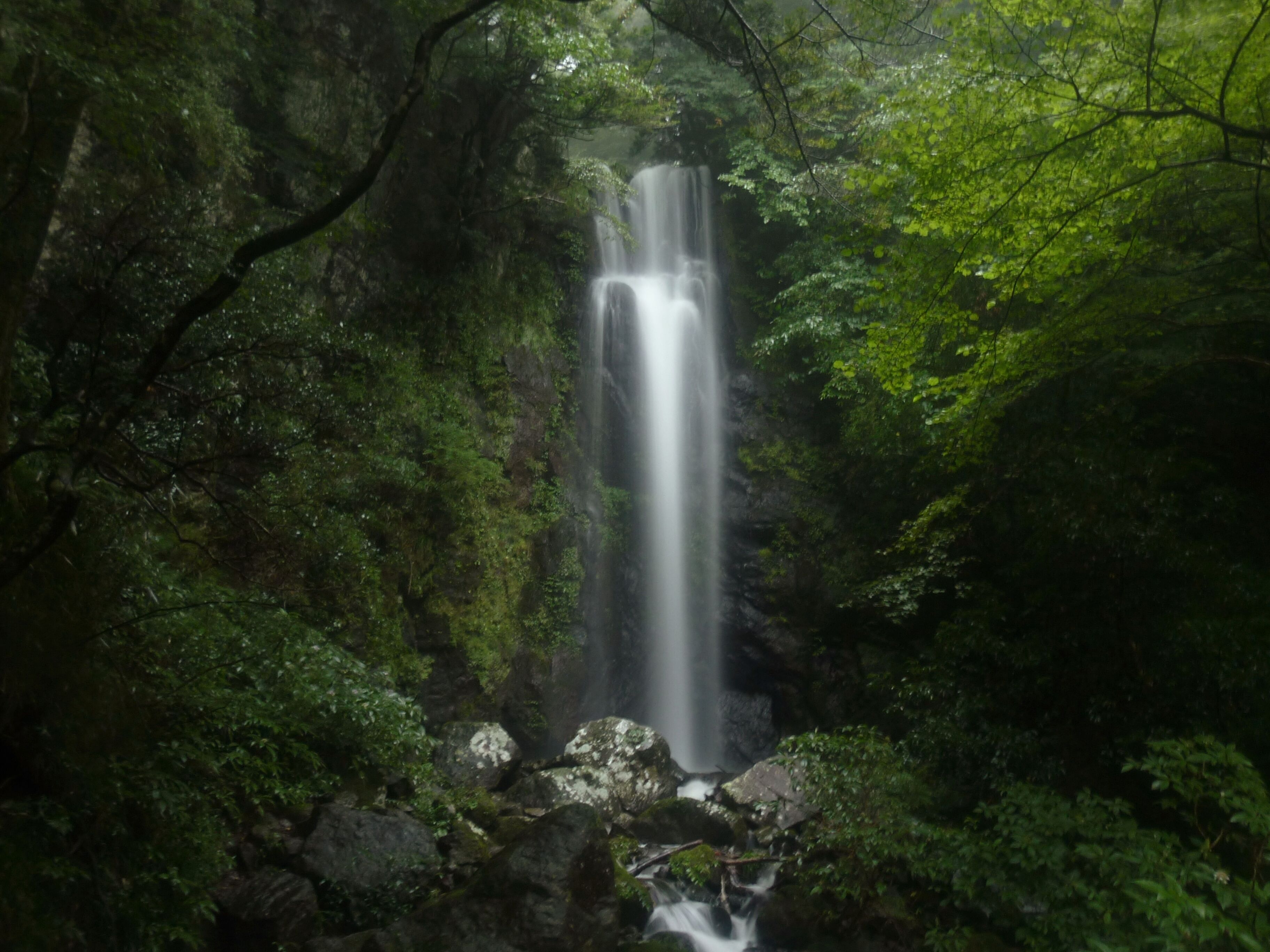 A waterfall surrounded by lush green forest.