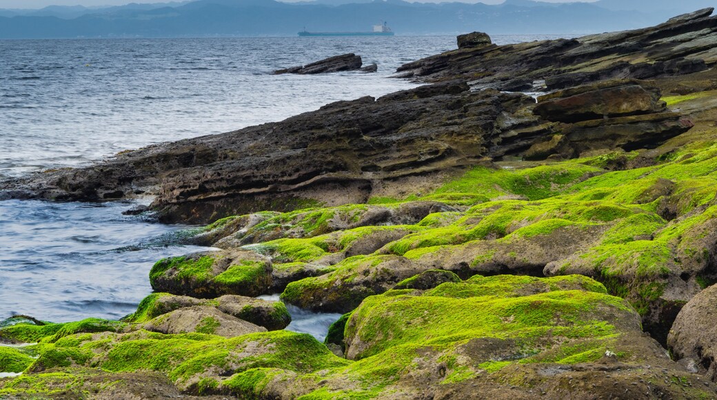 Volcanic rocks sloped at angle with moss covered rocks in foreground along coastline of ocean in Tokyo Bay Japan.