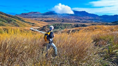 A hiker in a grassy field with a mountain range in the background.