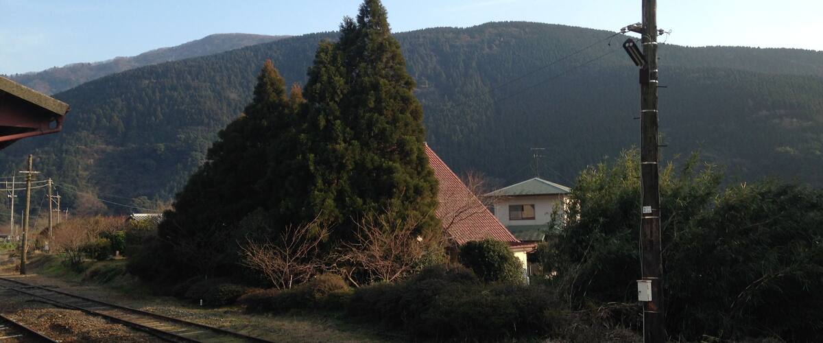 A railway track with a house and a large tree in the foreground, and a mountain in the background.