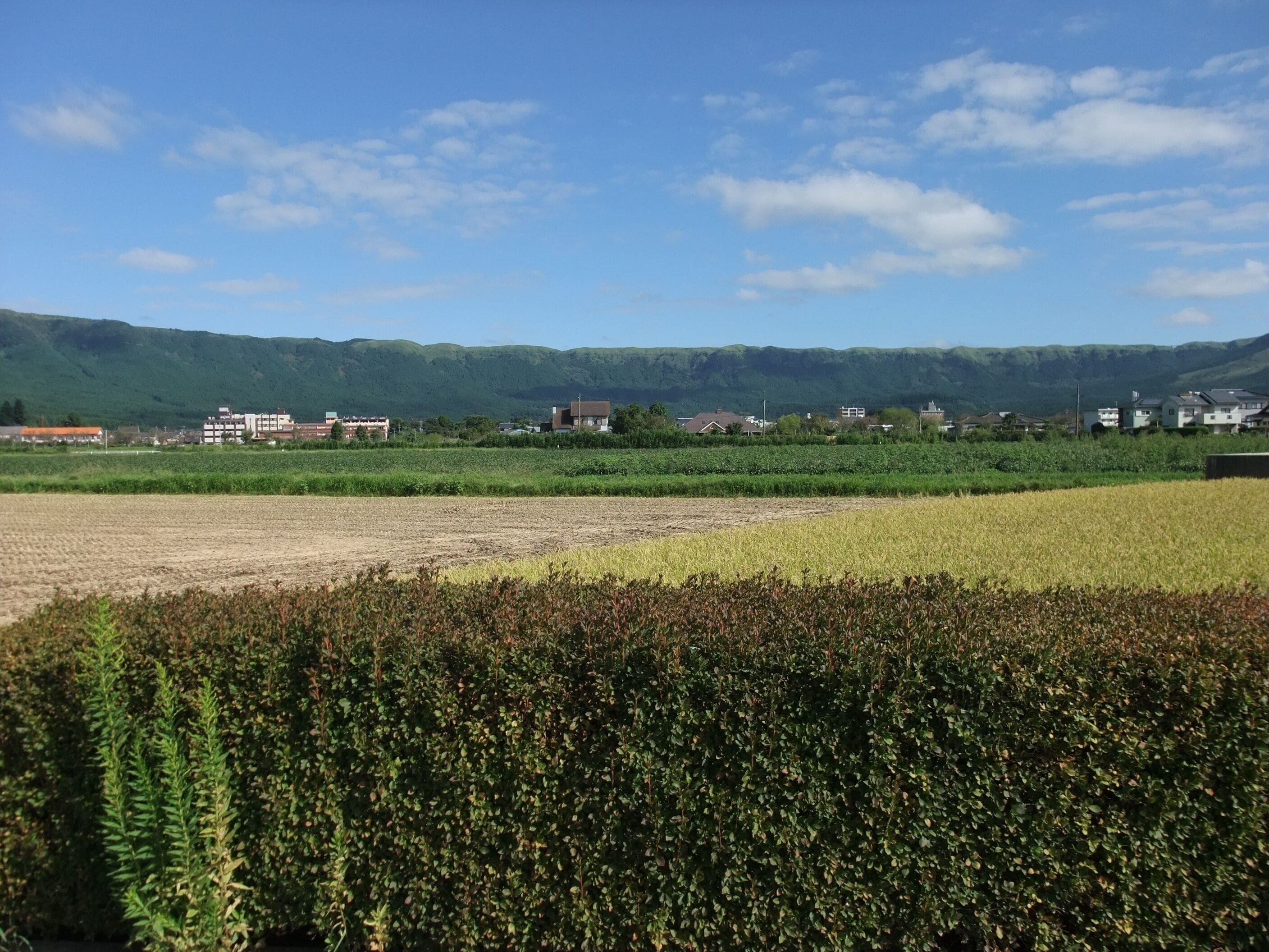 A rural landscape with fields, a hedge, and distant buildings.