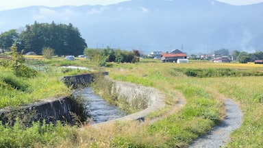 A rural landscape with a stream, fields, and houses.
