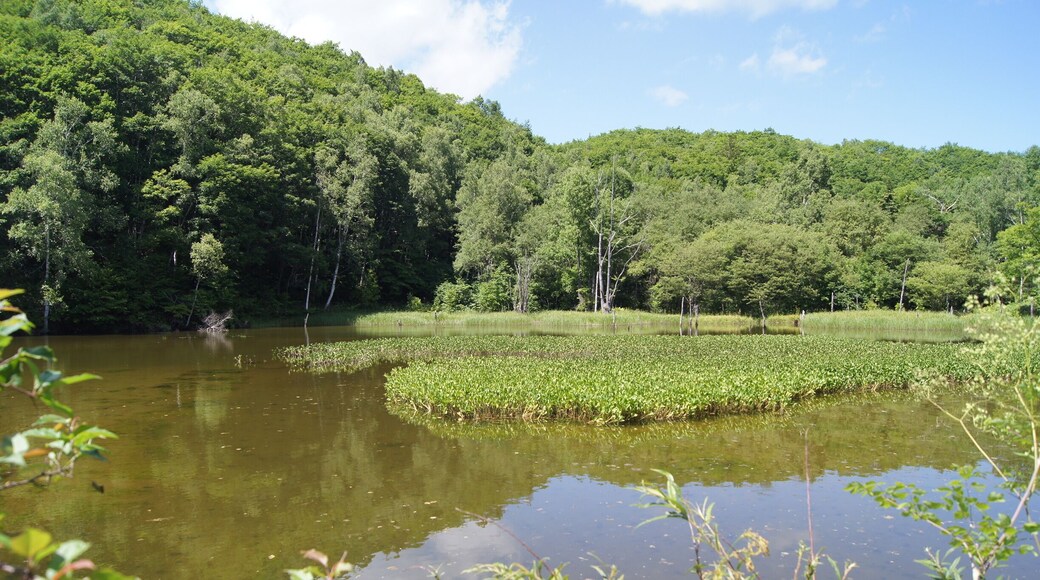 長野県松本市安曇にある乗鞍高原の一の瀬園地内にあるあざみ池