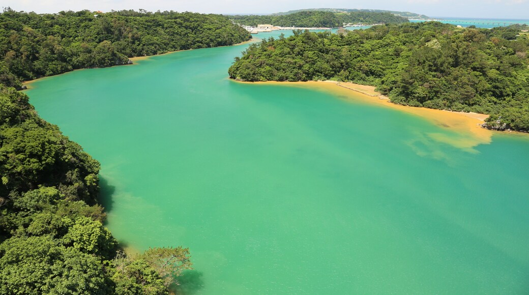 Amesoko, Nakijin, Kunigami District, Okinawa Prefecture 905-0411, Japan