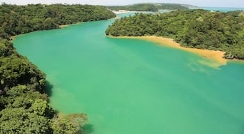 Amesoko, Nakijin, Kunigami District, Okinawa Prefecture 905-0411, Japan