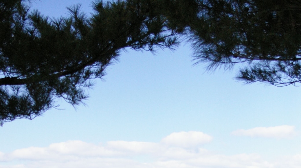 okinawan sea (沖縄)