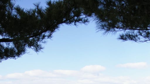 okinawan sea (沖縄)