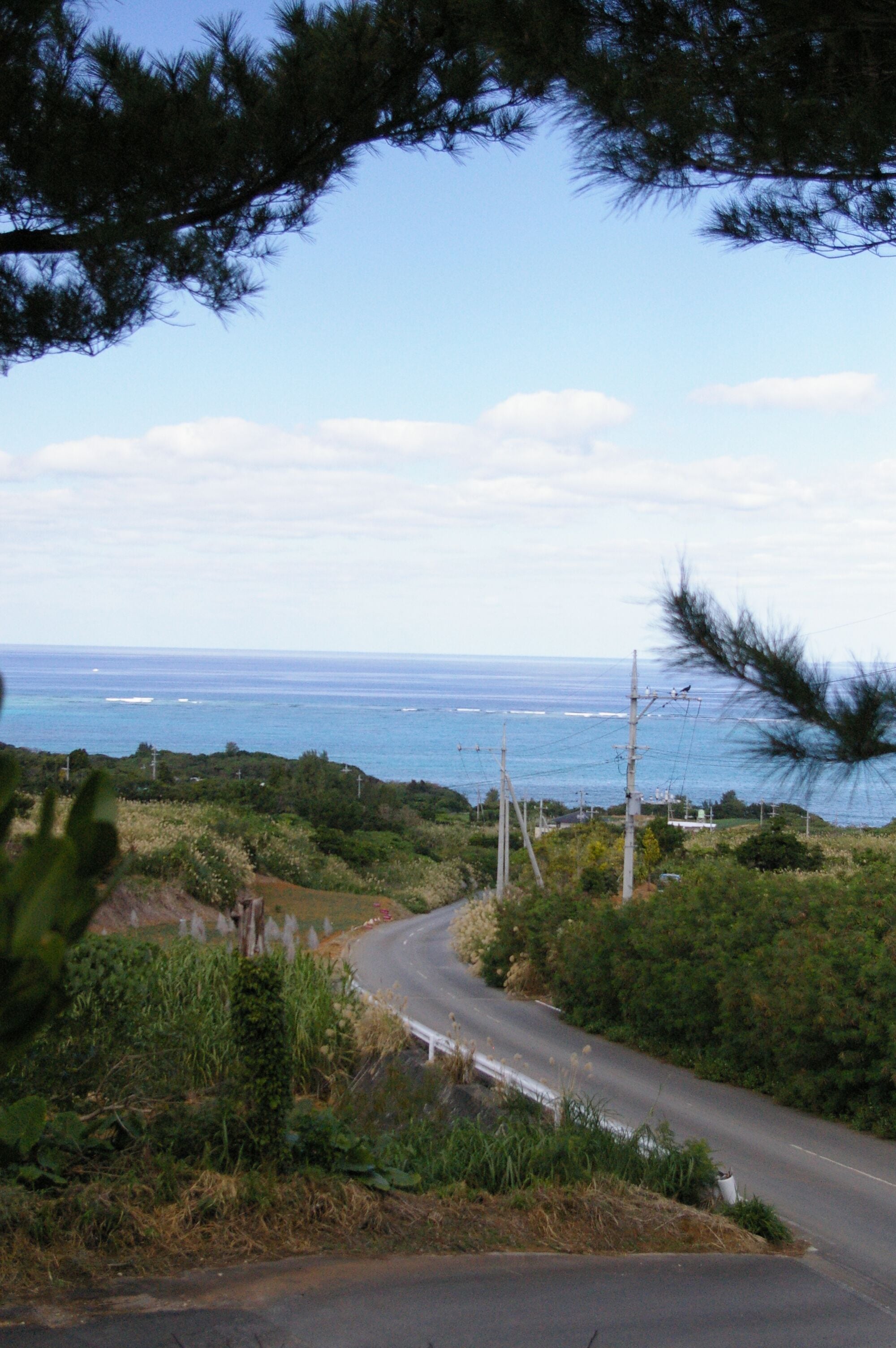 A coastal road curving through a hilly landscape with power lines and a view of the ocean.