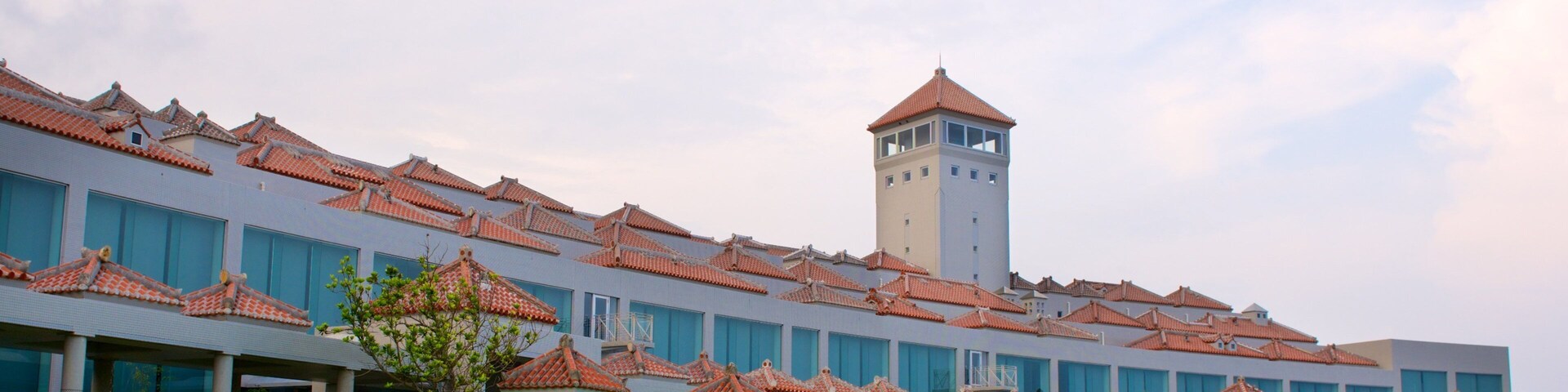 Mabuni featuring a park