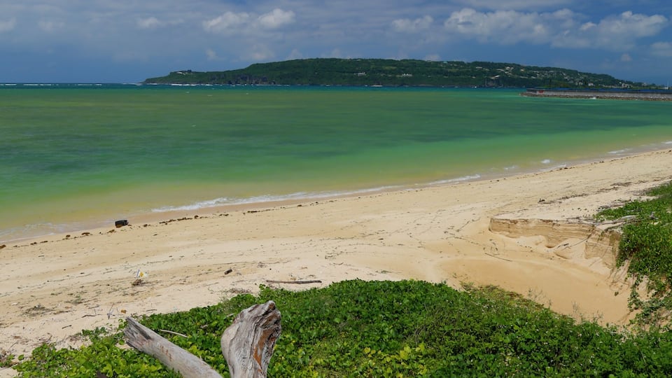 Unten, Nakijin, Kunigami District, Okinawa Prefecture 905-0403, Japan