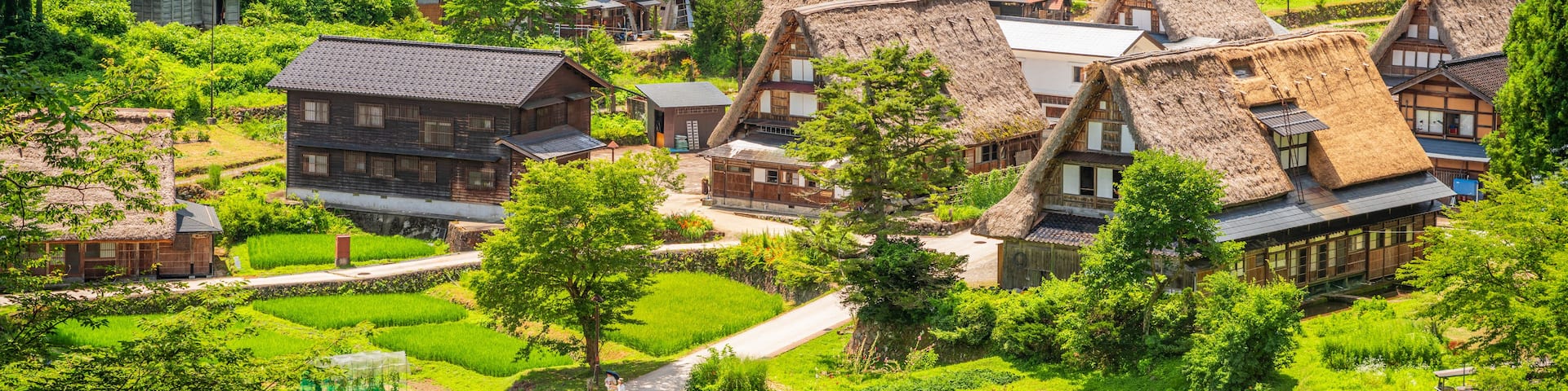 A village with traditional thatched-roof houses surrounded by lush greenery and terraced fields.