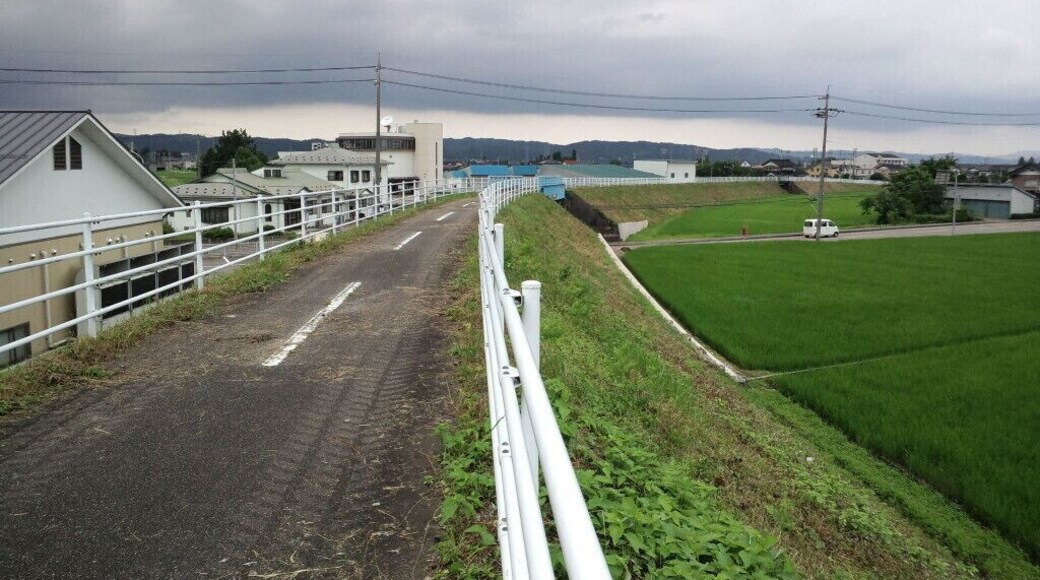 加越能鉄道 旧加越線跡 福野跨線橋