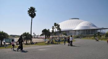 kirara-dome キララドーム