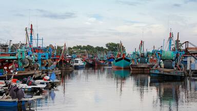 A harbor with various boats docked, including fishing boats and smaller vessels.