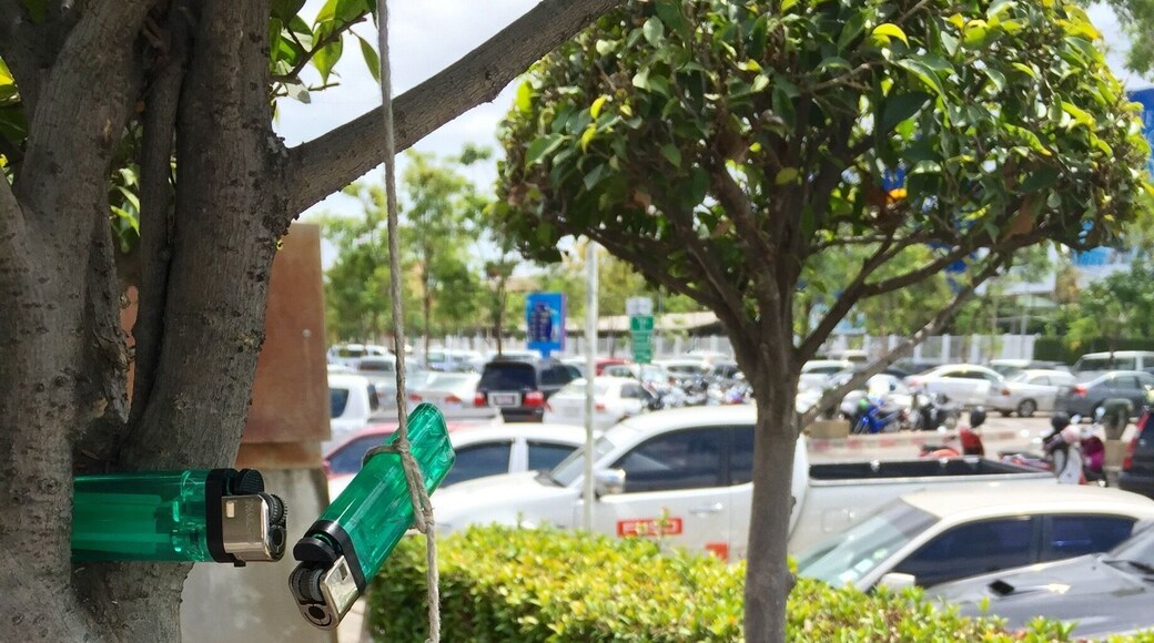 Classic example of Thailands generosity.