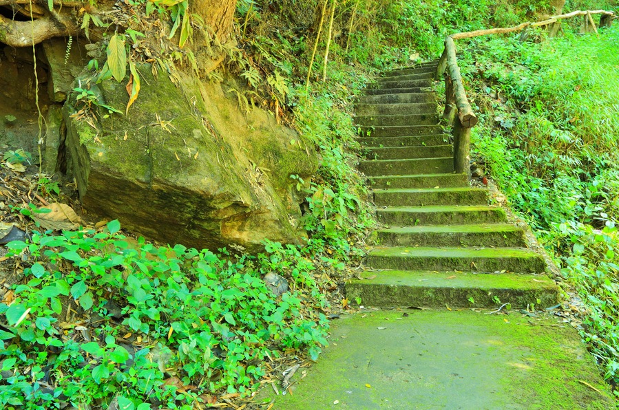 Walkway in the national park at doi suthep-pui, Thailand