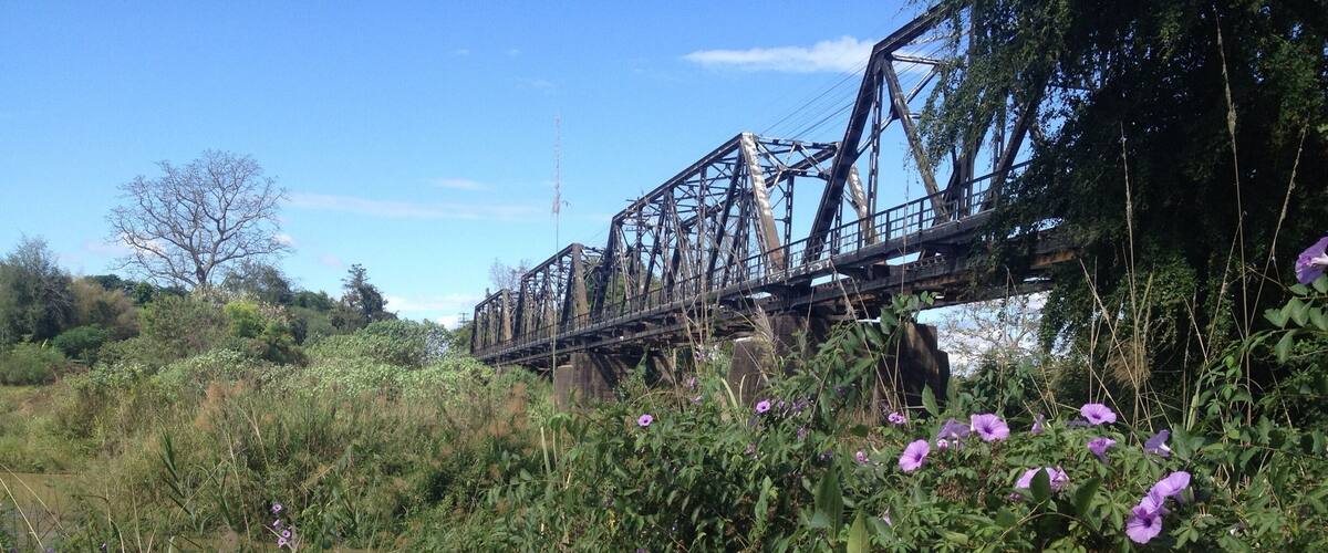 A bridge over a river with purple flowers in the foreground.