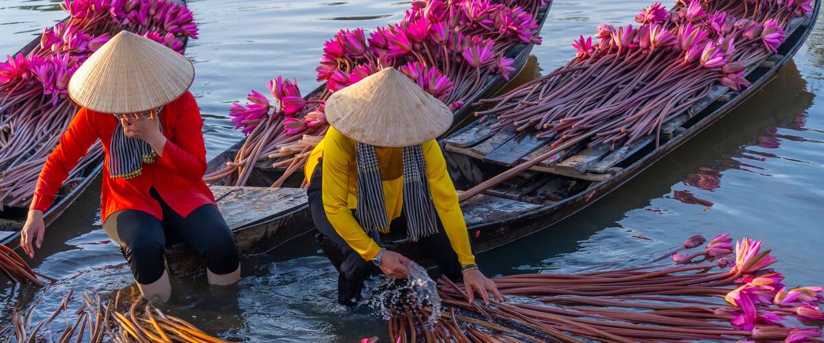 Two people in traditional conical hats on a boat filled with pink flowers and long, thin objects.