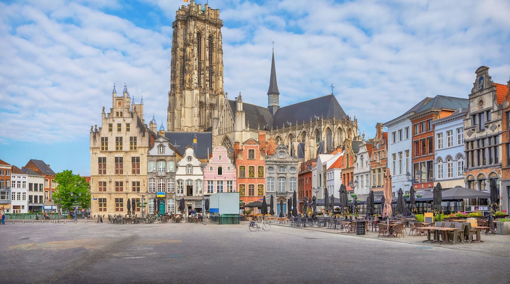 Een historische kathedraal met een hoge spits, omringd door kleurrijke gebouwen en een geplaveid plein.