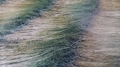 Besides historic cities like Antwerp, Bruges and Ghent, Flanders (the northern part of Belgium) offers only flat and rather monotonous landscapes. Nevertheless, you can sometimes discover scenic spots #ontheroad #Nature #Trovember