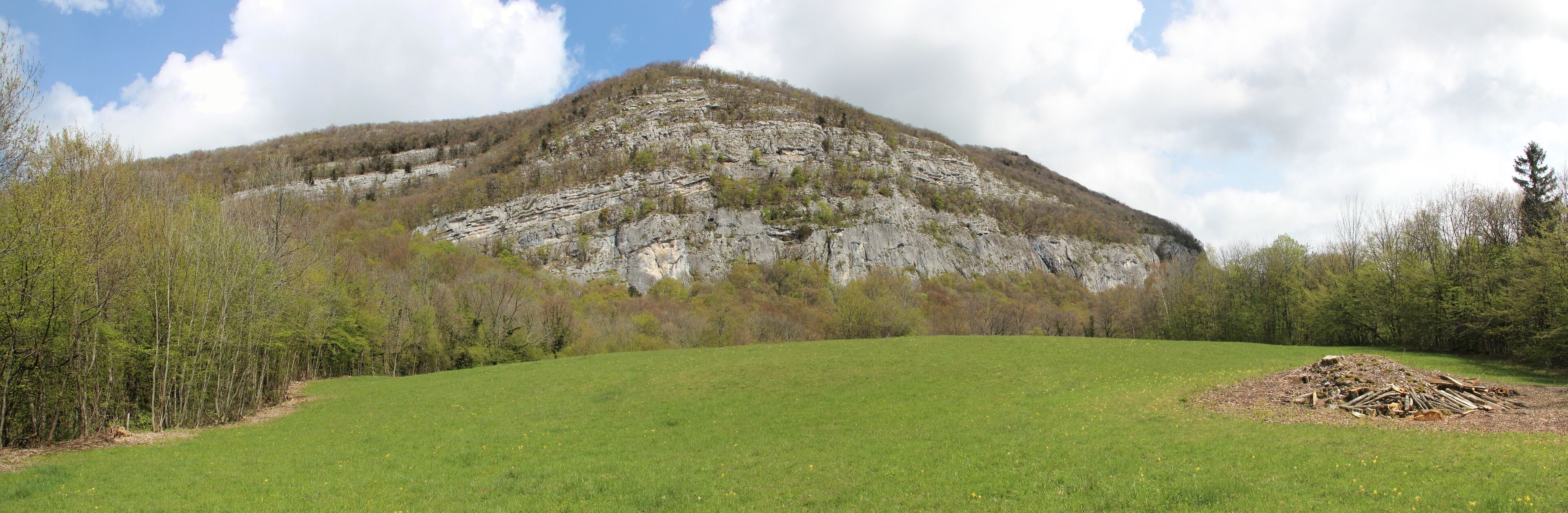 A grassy field with a rocky mountain in the background.
