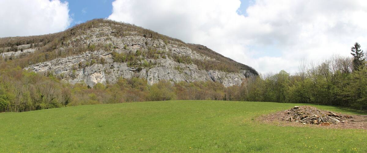 A grassy field with a rocky mountain in the background.