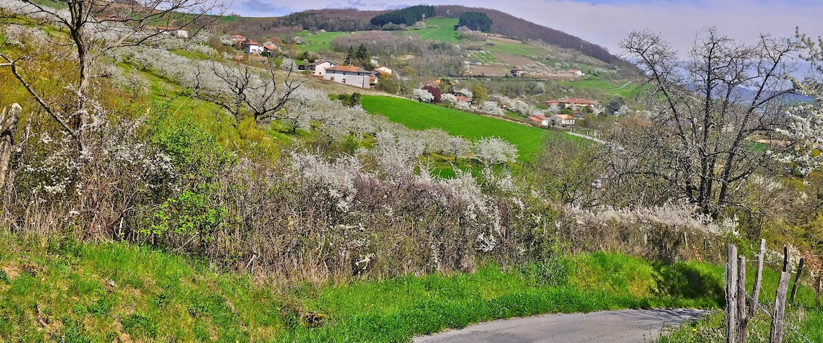 Ländliche Landschaft mit sanften Hügeln, einer gewundenen Straße und verstreuten Häusern.