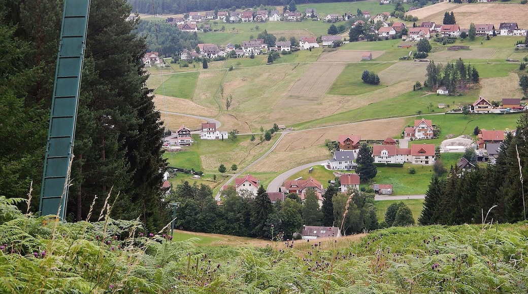 Skihang Mitteltal - Talblick