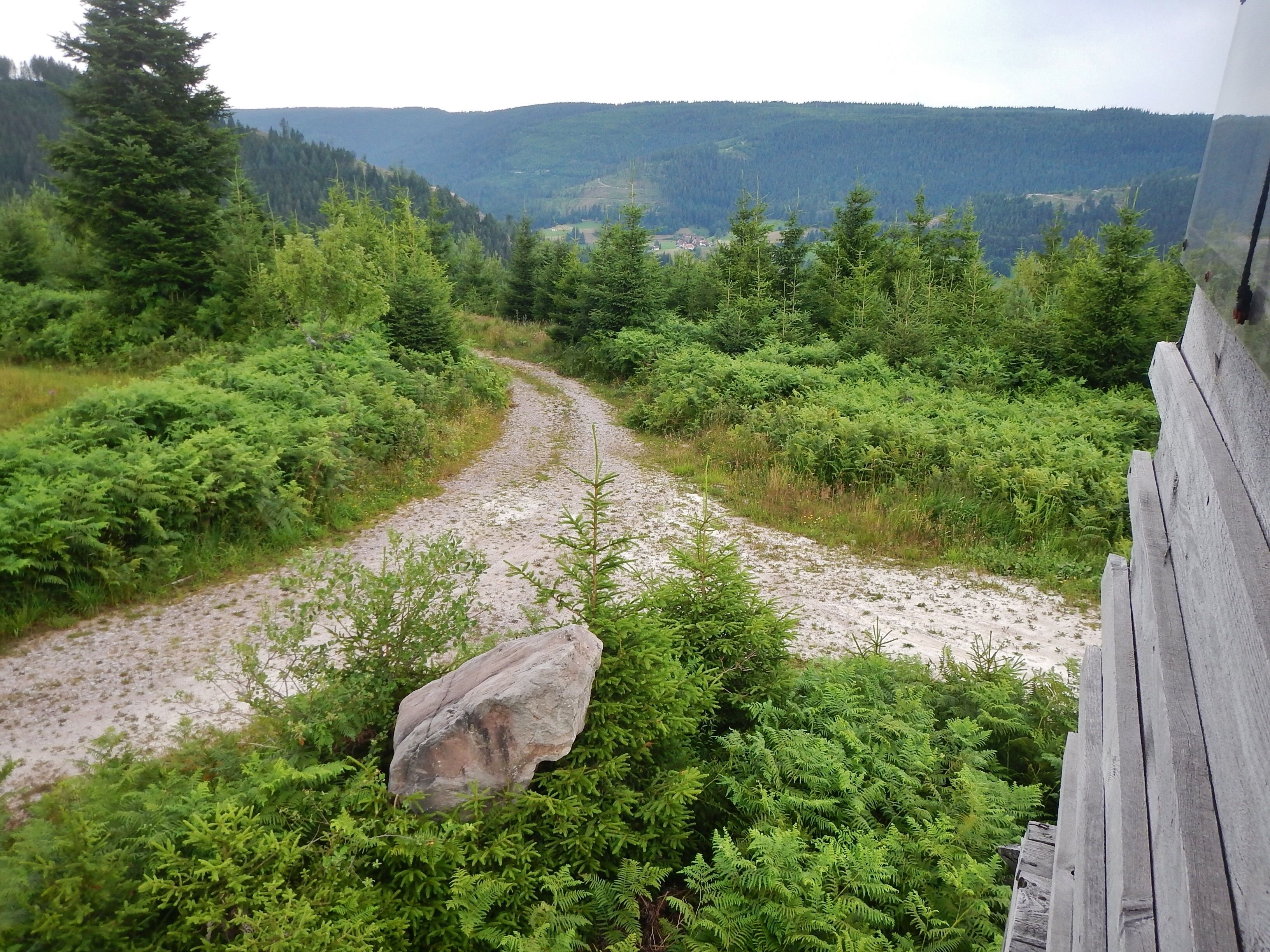 Baiersbronner Himmelswege - Naturgewalten Tour: Ausblick (Orkan Lothar 1999)