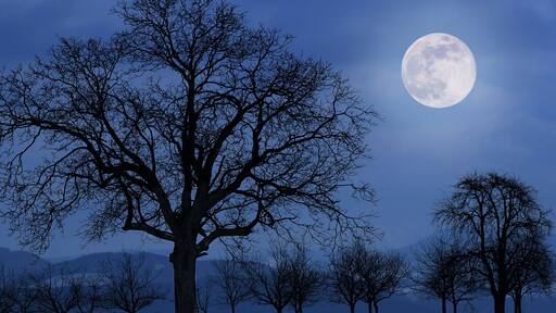 Winter-Mond...