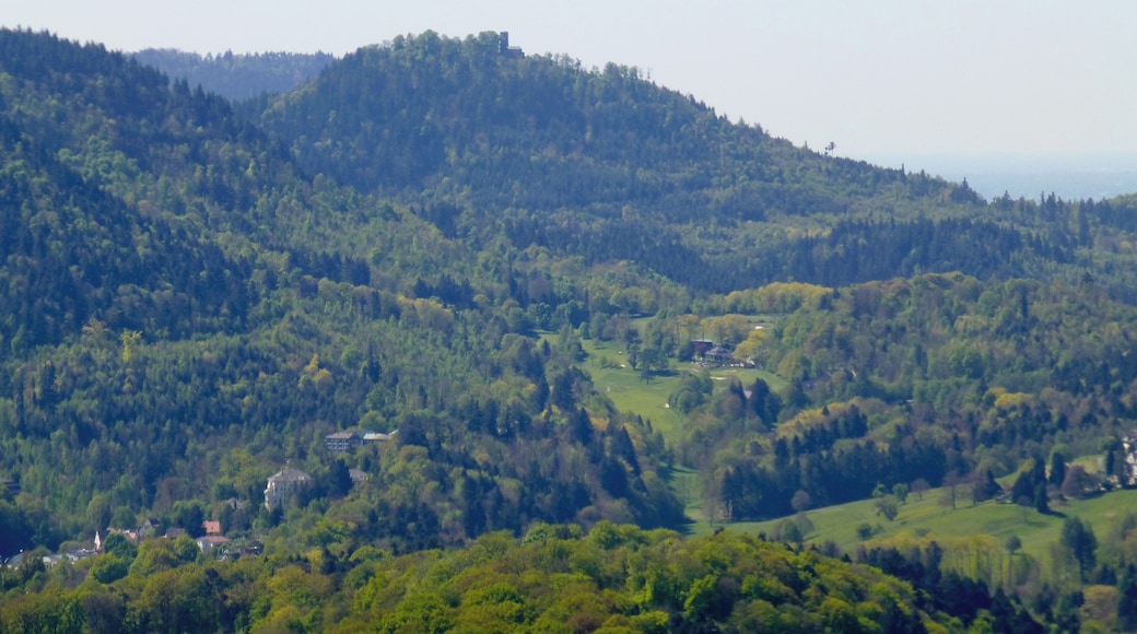 Schloss Hohenbaden; Blick vom Bergfried zum Yberg
