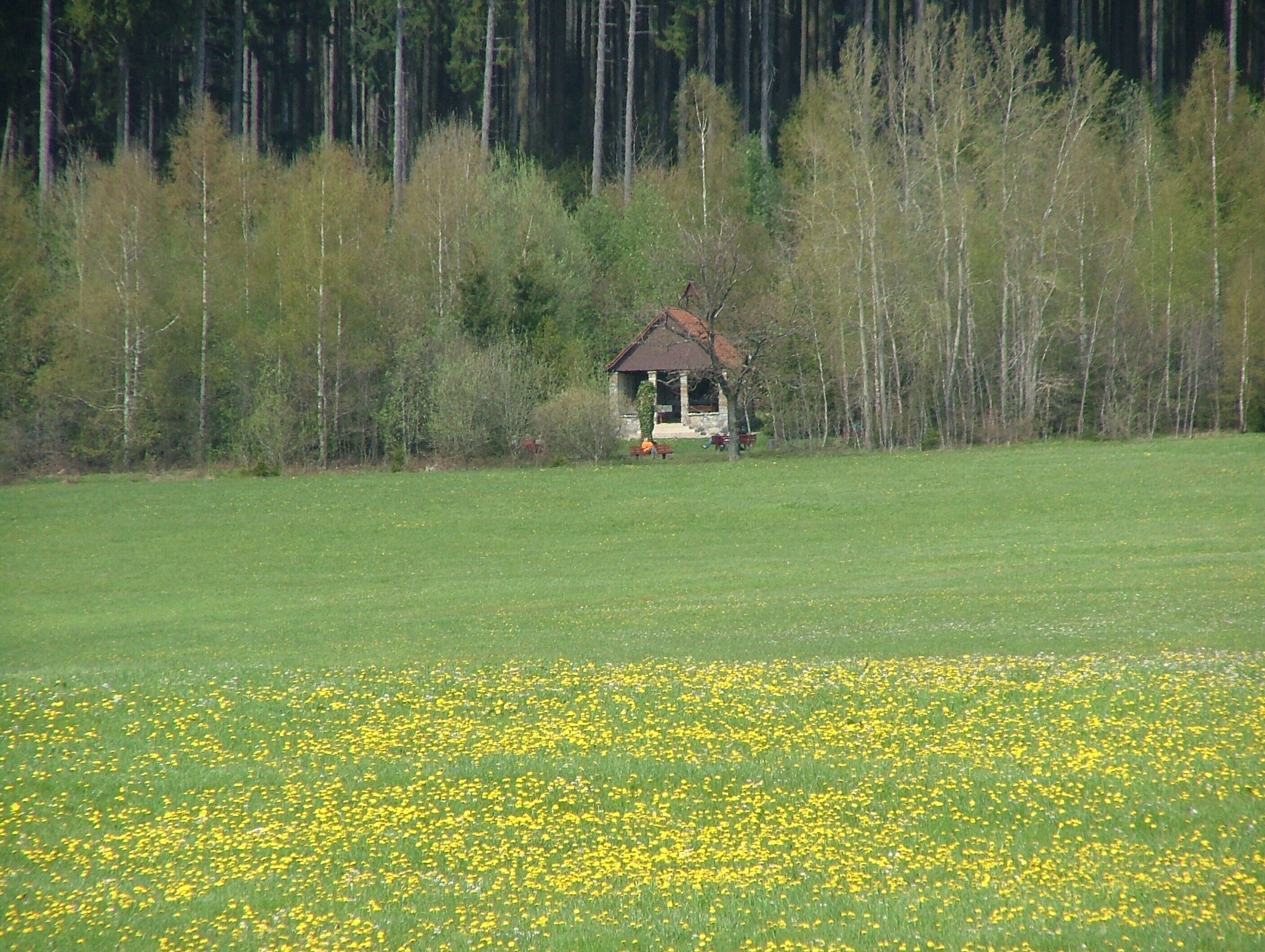 Blick zur Waldkapelle
