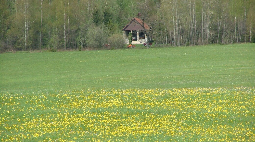 Blick zur Waldkapelle
