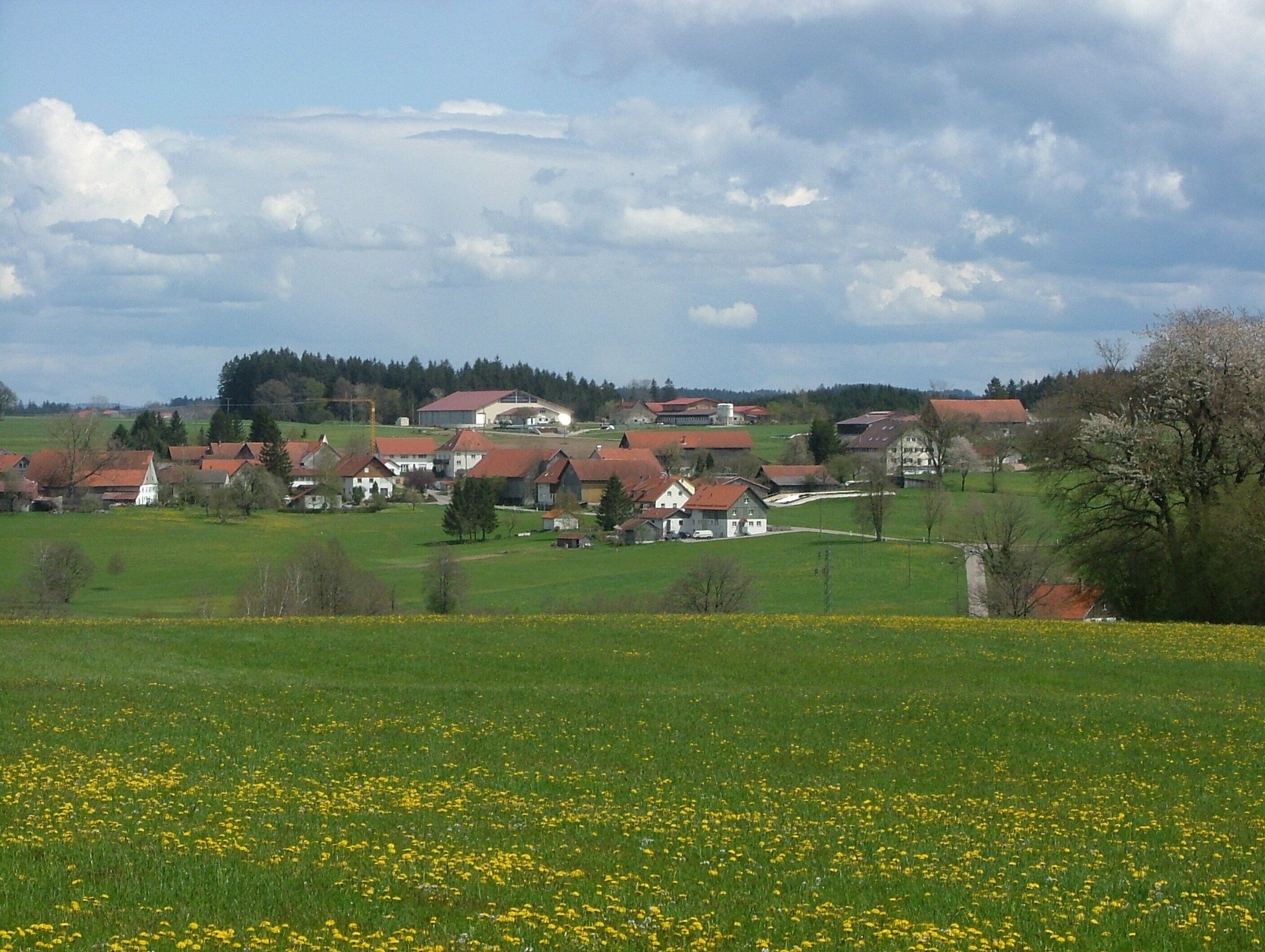 A rural village with red-roofed houses, green fields, and a cloudy sky.